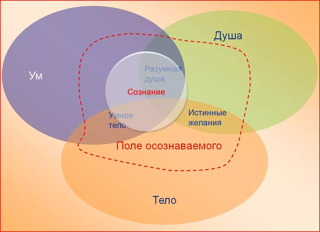 Сознание есть результат. Ум и подсознание. Тело ум душа. Ум сознание подсознание. Ум разум сознание отличие.