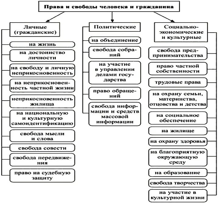 Свободы человека и гражданина по Конституции РФ таблица. Три примера прав граждан рф