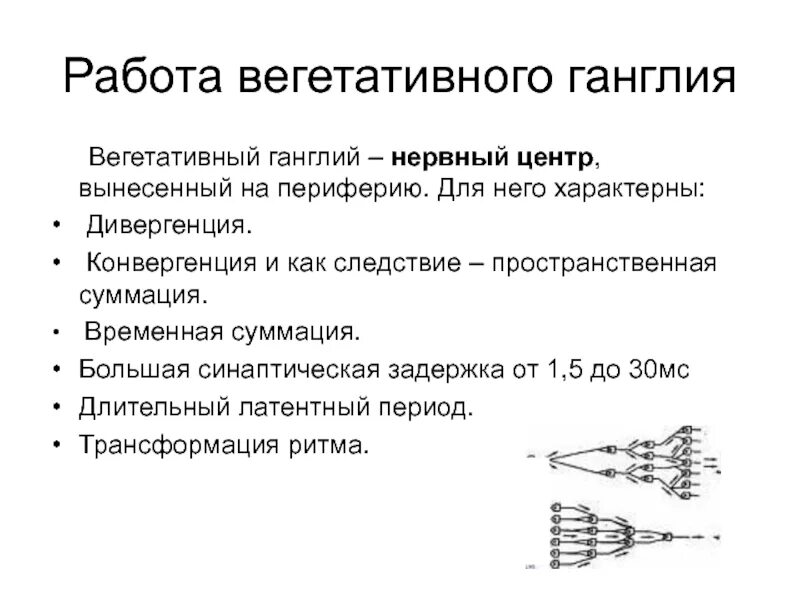 Конвергенция схема. Дивергенция физиология. Схема конвергенции и дивергенции в ЦНС. Конвергенция и дивергенция нервных центров.