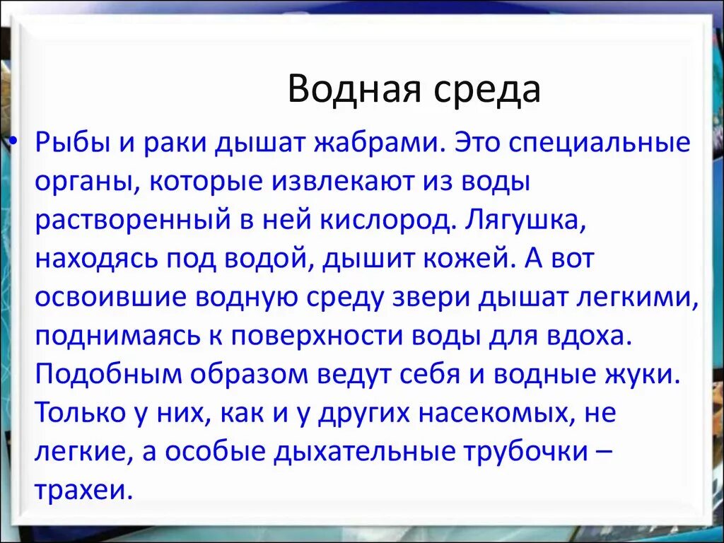 Водная среда обитания организмов 5 класс презентация