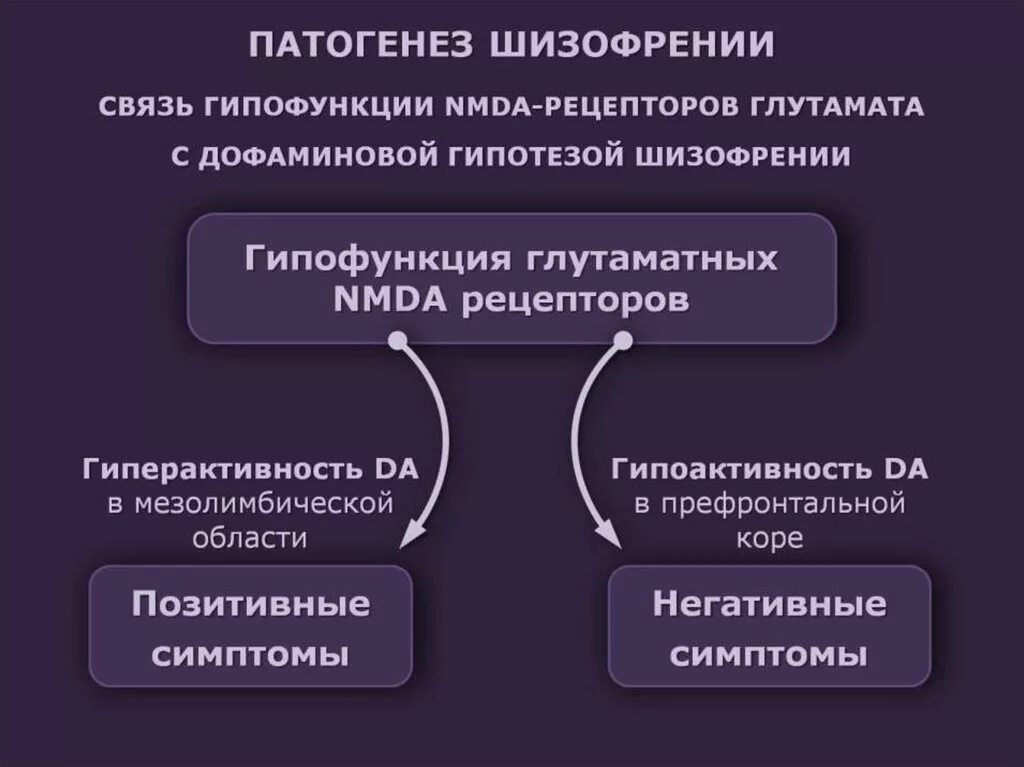 Модели шизофрении. Патогенез шизофрении психиатрия. дофаминовая теория патогенез шизофрении. шизофрения клиника и патогенез. этиология параноидной шизофрении.