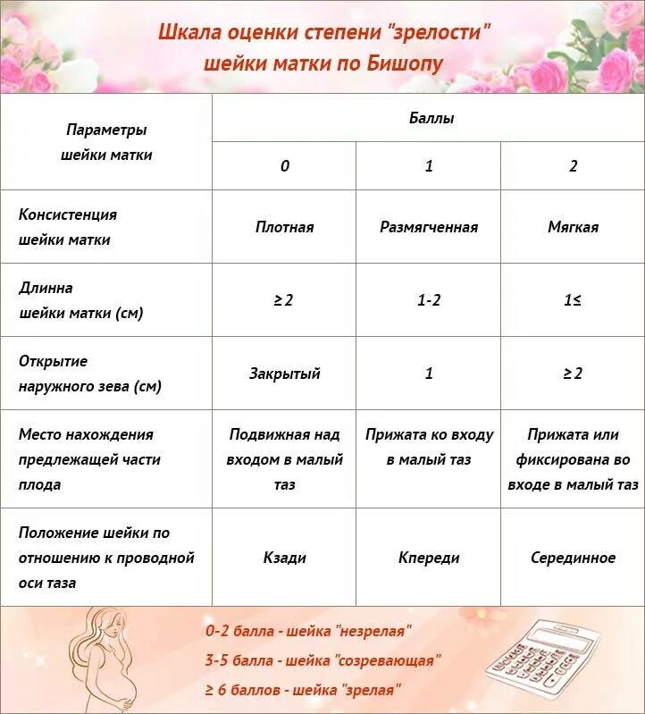 Можно ли достать до шейки матки. Шкала оценки зрелости шейки матки. степень зрелости шейки матки по шкале бишопа.. длина шейки матки норма. оценка шейки матки по бишопу.