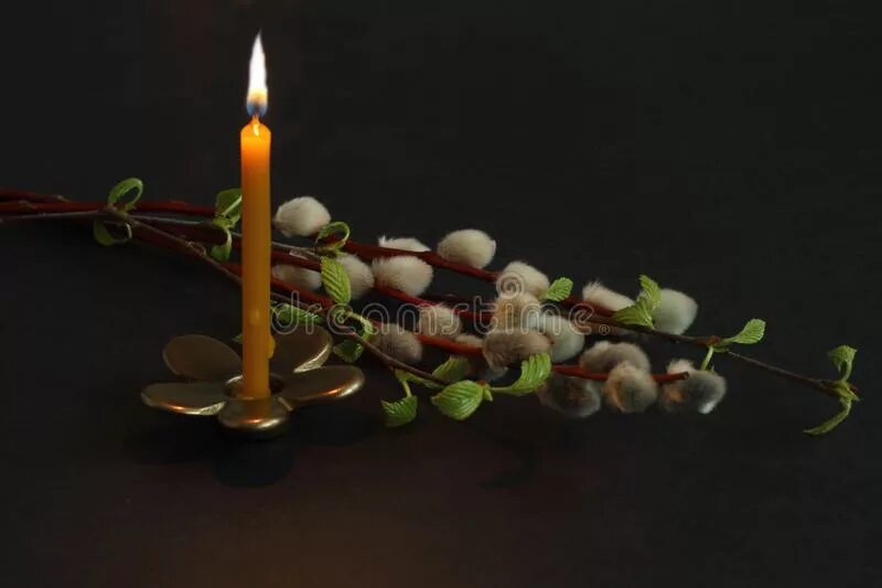 Верба церковь вербное воскресение. Вербное воскресенье вербочка и свечка. Пасхальная свеча вербочка. Можей с. Верба фаберже.