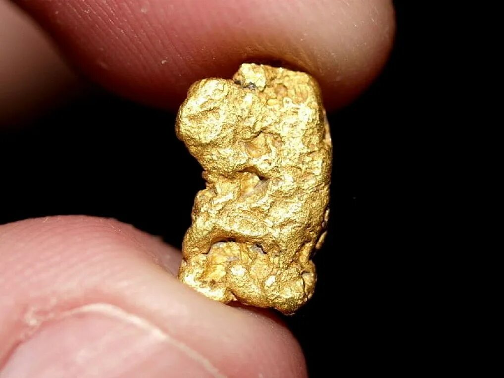 Growing gold. Growing gold