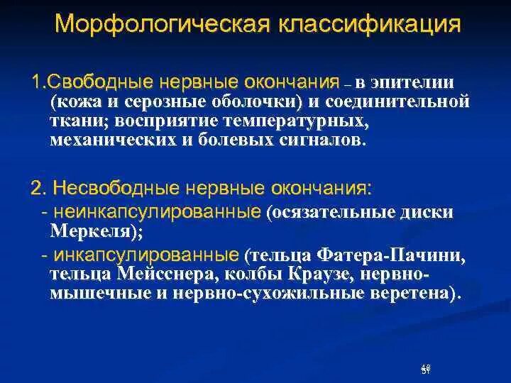 Нервные окончания функции. Классификация чувствительных нервных окончаний. Несвободные неинкапсулированные нервные окончания. Нерв окончания классификация. Морфологическая классификация нервных окончаний.