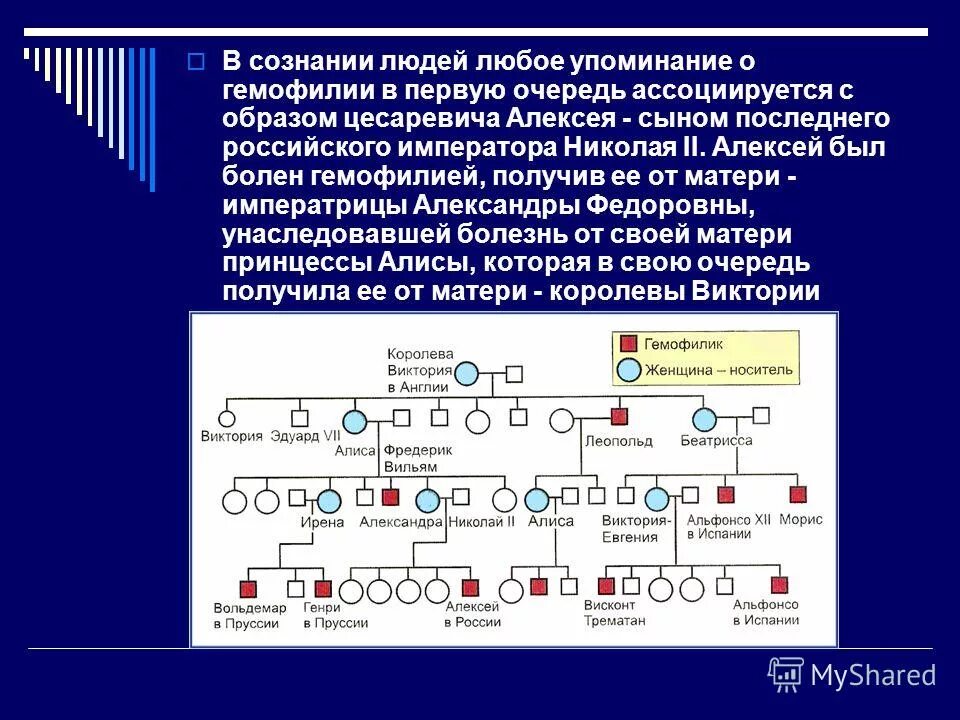 Генотип женщины носительницы гемофилии