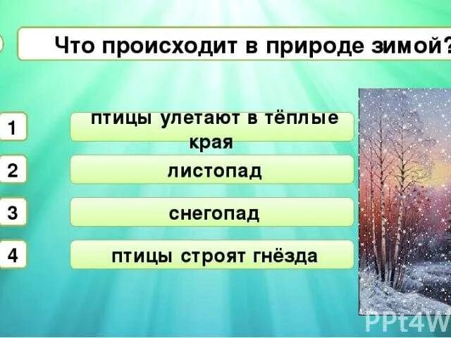 Явление в неживой природе снегопад