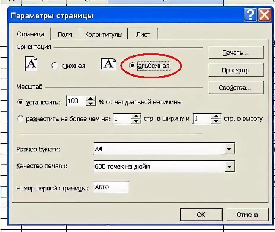 Печать в экселе альбомная. Ориентация альбомная в экселе. Параметры поля в печати. Параметры страницы в эксель. Граница печати в экселе