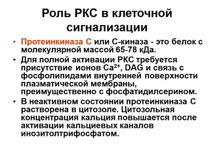 Протеинкиназа