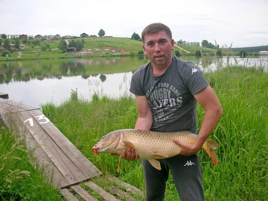 Левада Курск база. База Левада Курская область. Левада Медвенка.