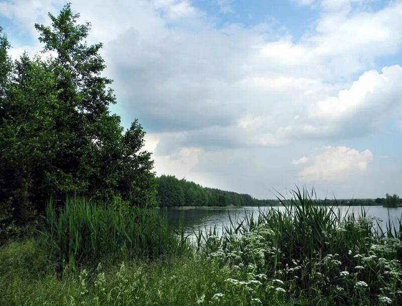 г воскресенск, д золотово, ул фабричная, д. пляж в золотово воскресенский. деревня золотово воскресенский район. посёлок неклюдово нижегородская область. погода в биробиджане сегодня.