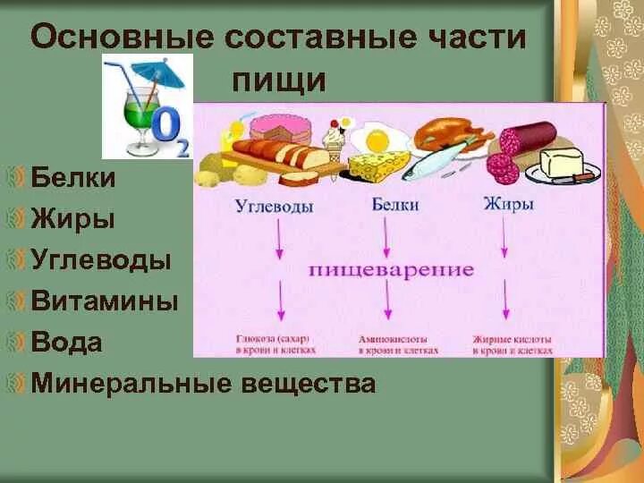 Основные источники белков жиров углеводов. Белки жиры углеводы микроэлементы витамины. Белки жиры углеводы витамины Минеральные вещества. Основные составные части пищи. Основные питательные вещества пищи.