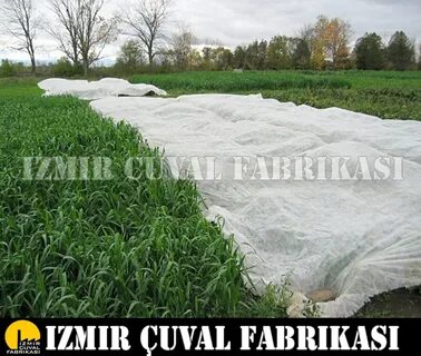 Агрил