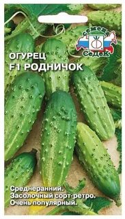 Описание огурцов родничок