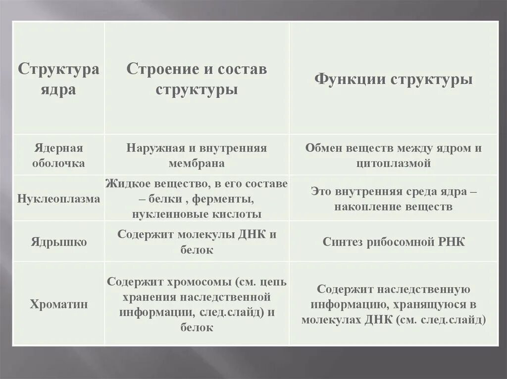 Таблица структура ядра строение функции. Структура ядра особенности строения функция. Ядро структура строение функции. Ядро строение и функции кратко таблица биология.