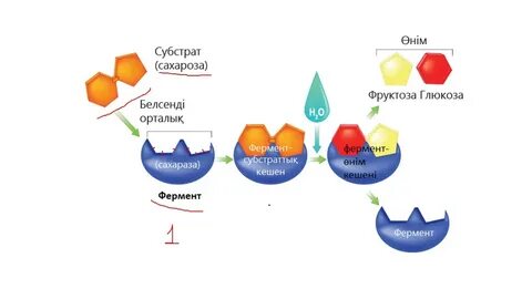 Порно видео онлайн: көшеде жалаңаш