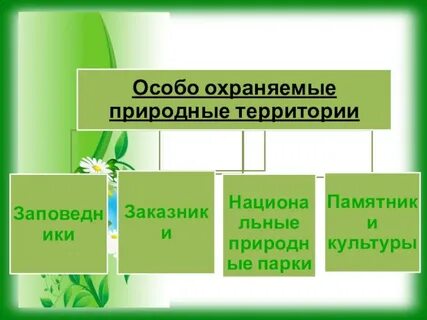 Какие объекты относятся к оопт