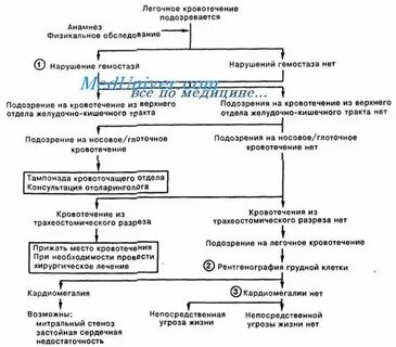 Легочное и желудочно кишечное кровотечение