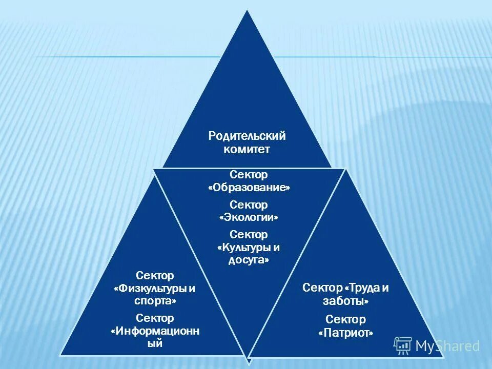 Организация сектора образования