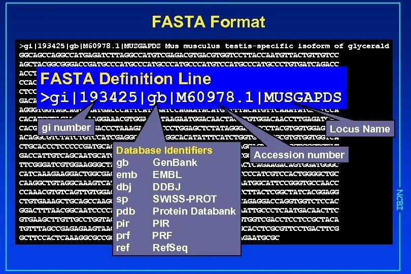 Fasta файл. Последовательность в формате fasta. Синтез fasta format.