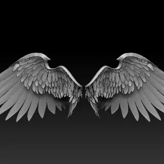 Wings 3d