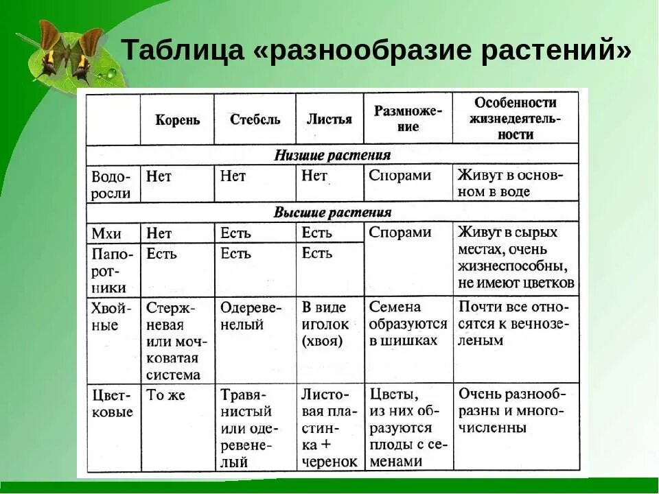 Таблица разнообразия. Таблица по окружающему миру 3 класс растения. таблица разнообразие растений 3 класс окружающий мир. таблица группы растений 5 класс. таблица многообразие растений 5 класс биология.