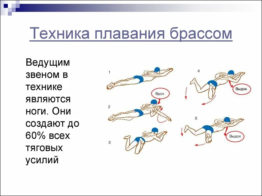 Стиль плавания брасс техника. Движение ног при плавании брассом. Техника плавания брассом пошагово. Техника плавания ноги брасс техника. Упражнение движения воды