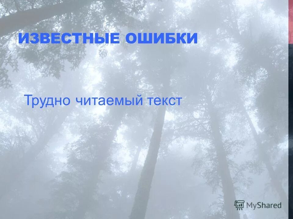 трудно читаемый текст. изложение кошка и котята. текст. большие тексты. трудно читаемый текст.