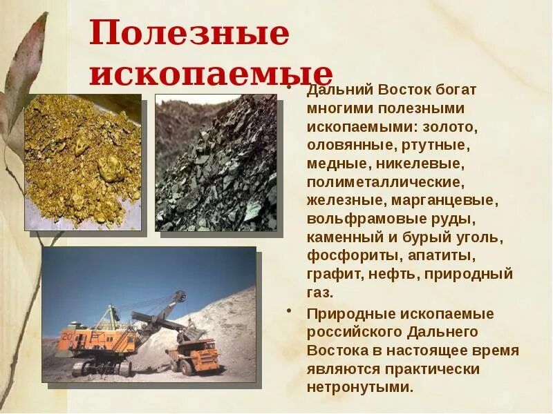 Какими богатыми ископаемыми богата центральная россия. Полезные ископаемые золото. Полезные ископаемые дальнего Востока. Золото полезное ископаемое. Полезные ископаемые дальнего Востока золото.