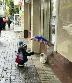 Смешные картинки про добро