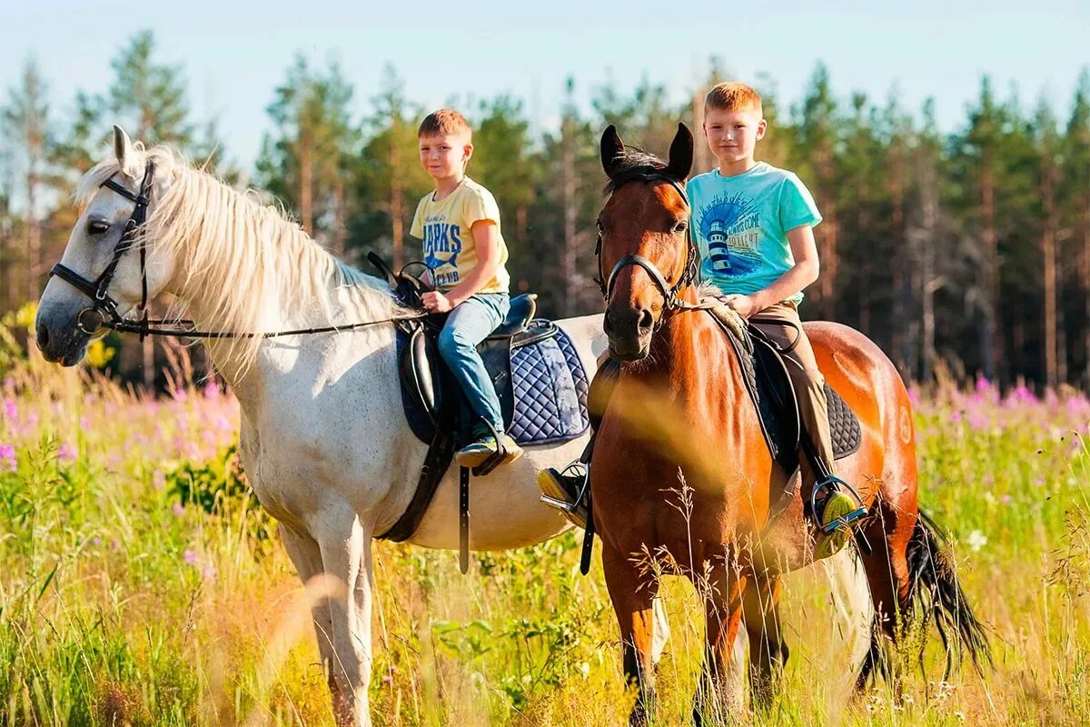 Катание на лошадях. Лошадь для детей. Дети ездят на лошадях. Конная прогулка. Дети катаются на лошадях.