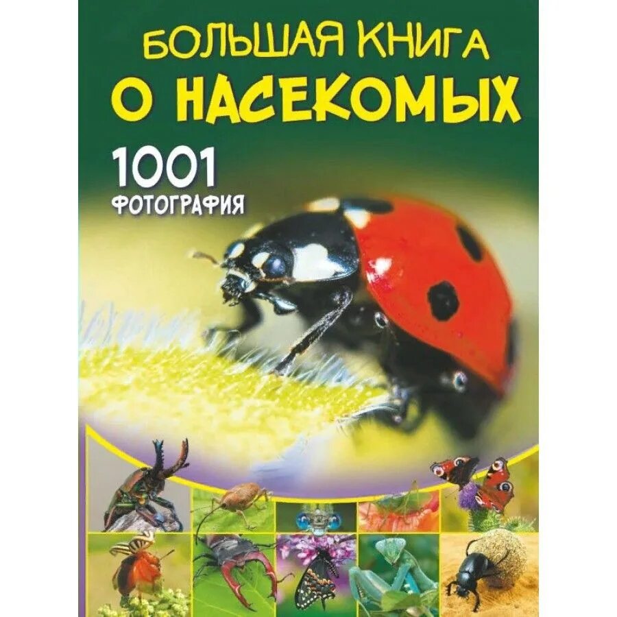 Большая книга о насекомых. Энциклопедия с развивающими заданиями. Большая книга о насекомых. Детская энциклопедия. Книга про насекомых.