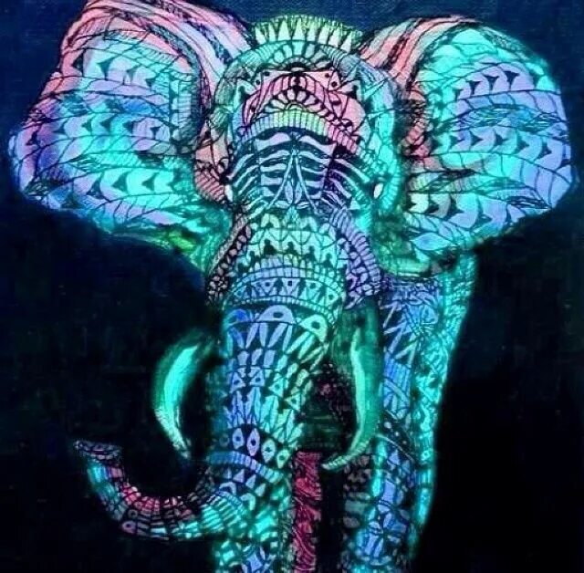 Neon elephant. Волшебные слоны. Слон арт. Психоделические животные. Слон психодел рисунок.