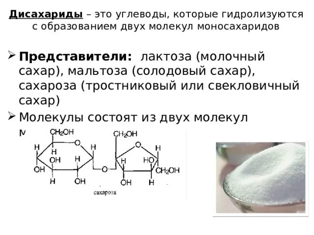 Сахароза биологическая роль. Дисахариды мальтоза лактоза сахароза. Мальтоза – это дисахарид состоящий из. Строение дисахаридов. Дисахарид сахароза состоит из.