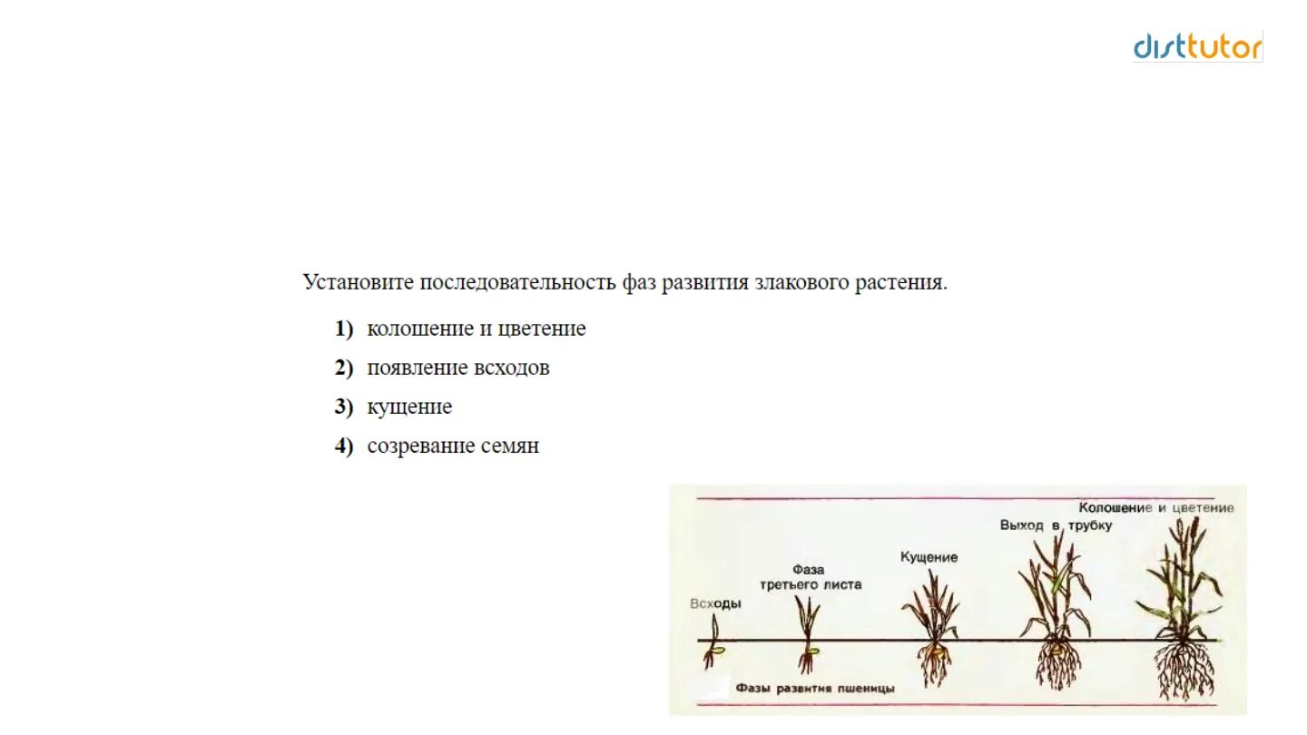 Какая ботаническая наука изучает процесс размножения растений. Задания по ботанике. Вопросы по ботанике. Ботаника ЕГЭ биология. Вопросы по ботанике с ответами.