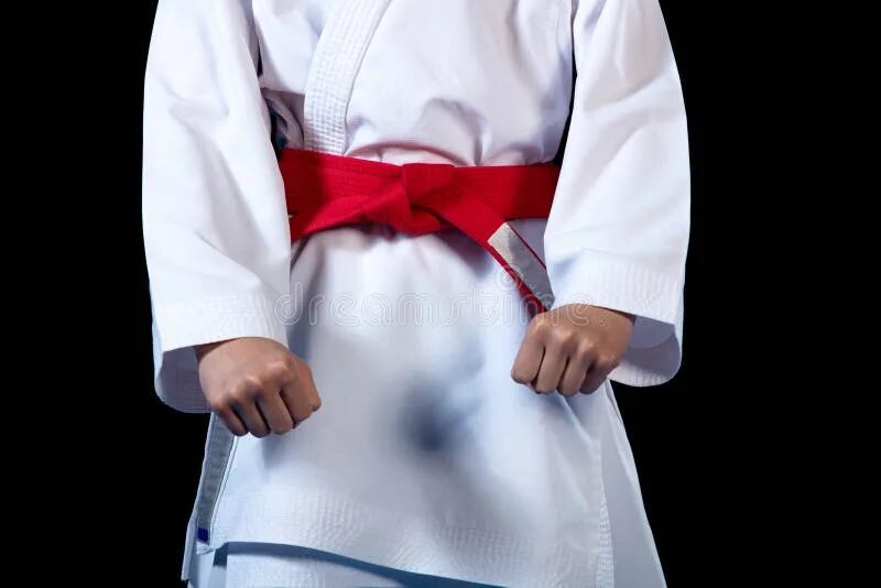 Черный пояс по дзюдо. Коричневый пояс дзюдо ijf. Пояс черный для дзюдо адидас. Кимоно с черным поясом. Пояса в дзюдо.
