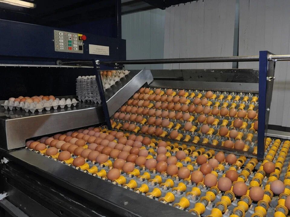 Продукции смоленского "Сметанино" на рынке станет больше