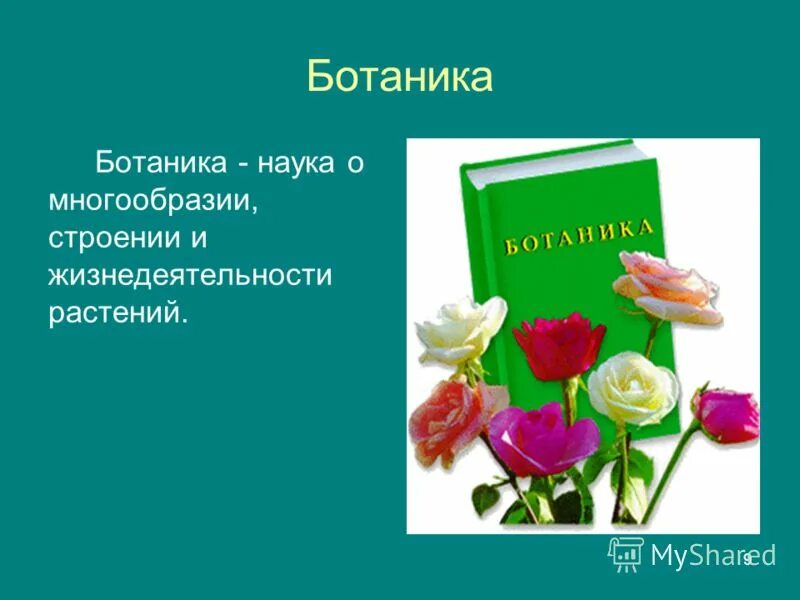 Выбрала науку ботанику. Выбрала науку ботанику. Ботаника наука о растениях 6 класс. Ботаника наука о растениях. Ботаника это наука изучающая растения.
