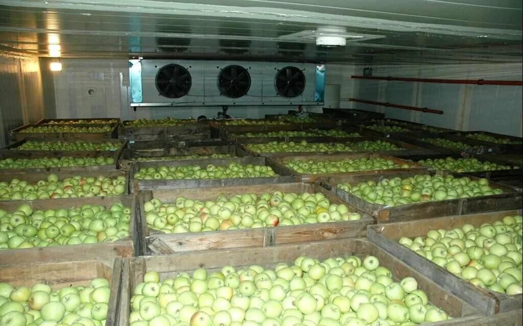 Хранение транспортировка и реализация сельскохозяйственной продукции