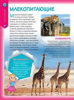 Популярная детская энциклопедия