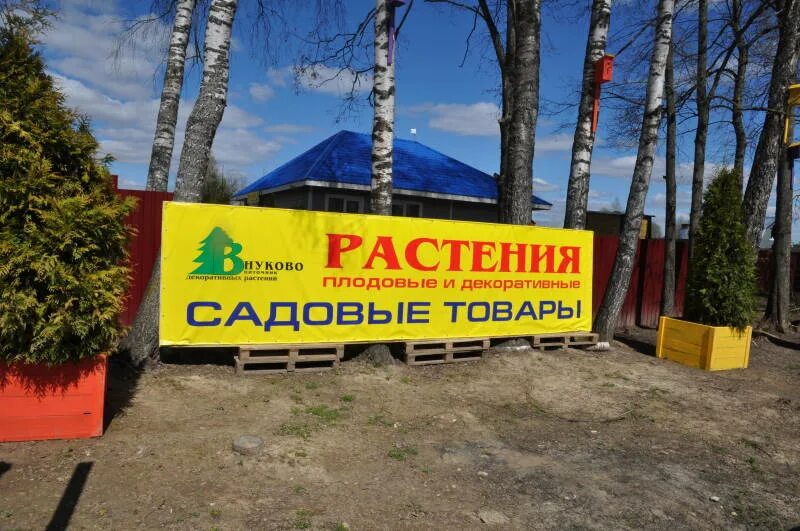 Садовый центр 12 месяцев. Садовый центр баннер. садовый магазин баннер. реклама садового центра. рекламный баннер садового центра.