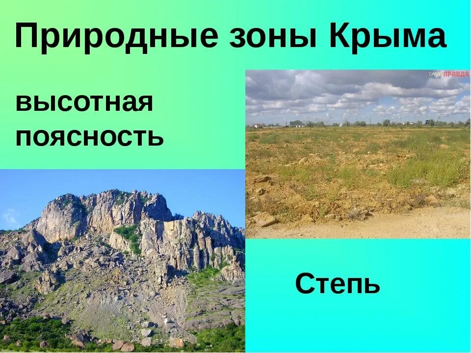 Севастополь какая природная зона. Природные зоны Крыма. Природные зоны Крымского полуострова. Проект природные зоны Крыма. Природные зоны Крыма 8 класс.