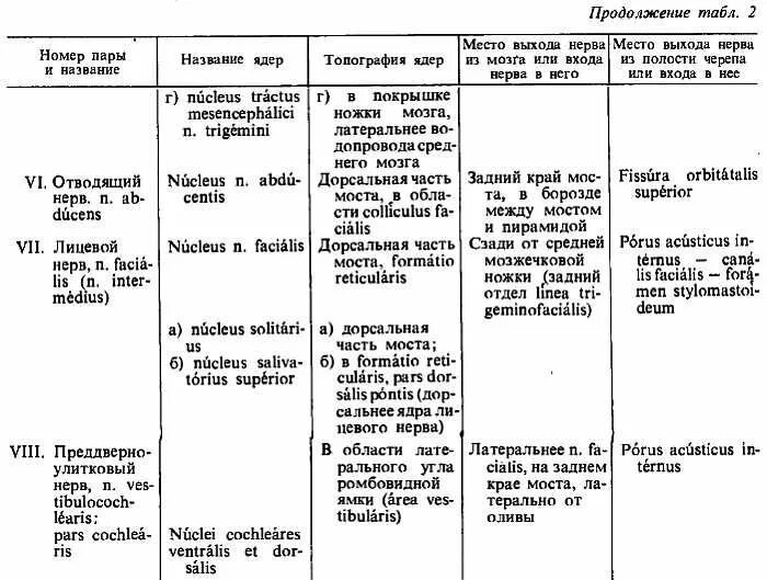 Ядра черепных нервов головного мозга. Функции ядер черепно мозговых нервов таблица. Таблица функции 12 пар черепно-мозговых нервов ЧМН. 12 Пар черепно мозговых нервов таблица ядра. Иннервация черепных нервов таблица.