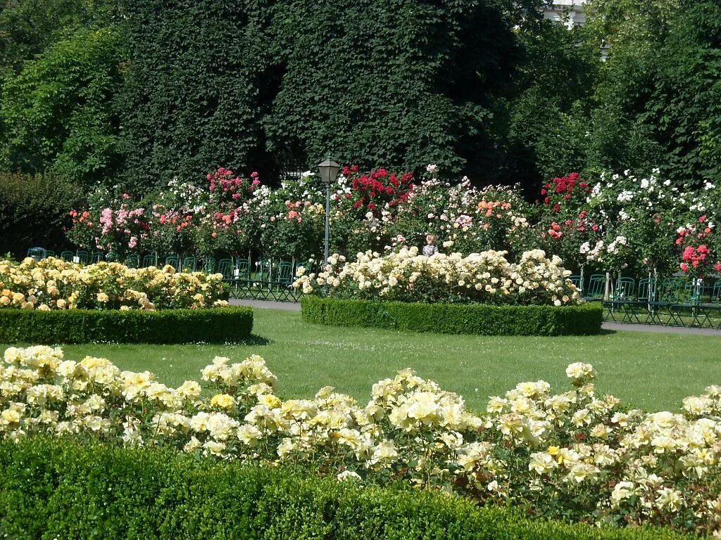 Гулистан- сад роз в садах тимуридов. Питомник садовая идиллия. Burberry garden roses. Парк роз иерусалим. Садовая идиллия розы.