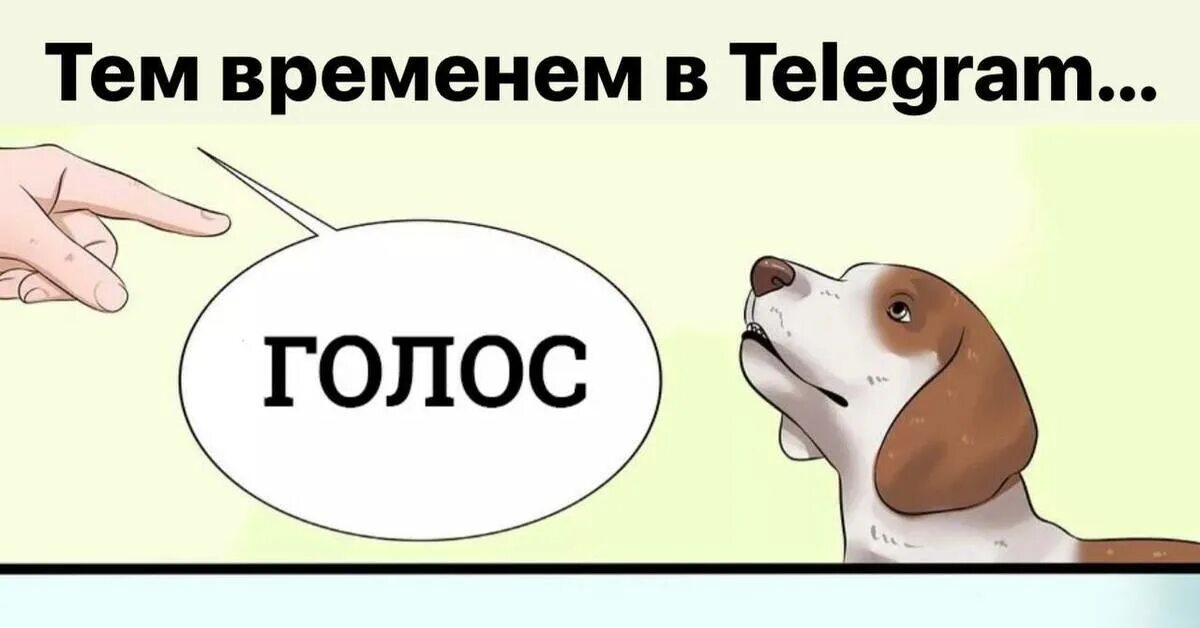 Голосовой собаки. Команда голос для собаки. Голос собаки. Голос собаки голос собаки. Жест голос для собаки.