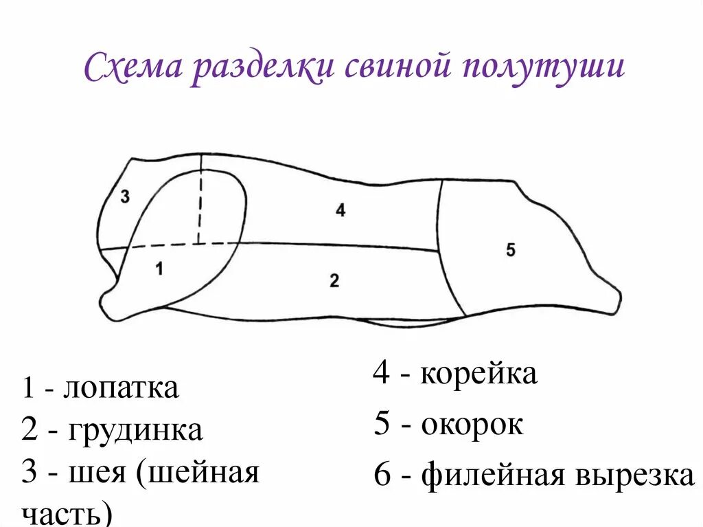 Туша свиньи разруб схема. Туша свинины схема разделки. Схема разделки свиной туши с названиями частей. Опишите схему разделки свиной туши. Названия частей свиньи