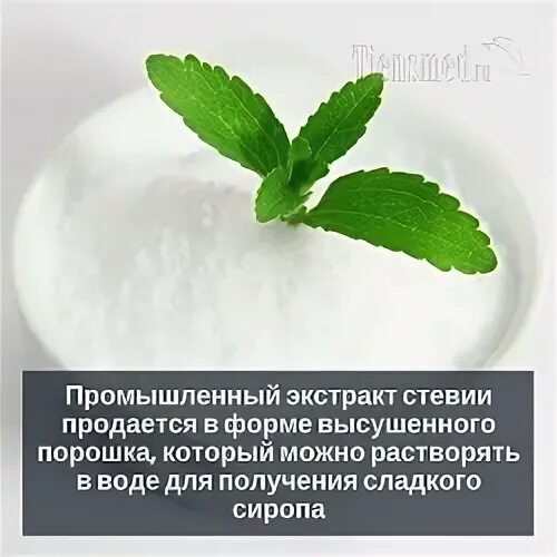 Стевия таблетки инструкция