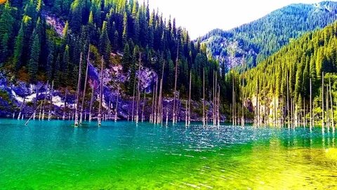 Табиғатта, кун