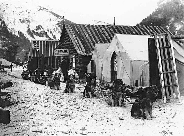 Клондайкская золотая лихорадка аляска. Klondike gold rush. Золотая лихорадка аляска 19 век. Клондайк юкон золотая лихорадка. Золотая лихорадка аляска 19 век.