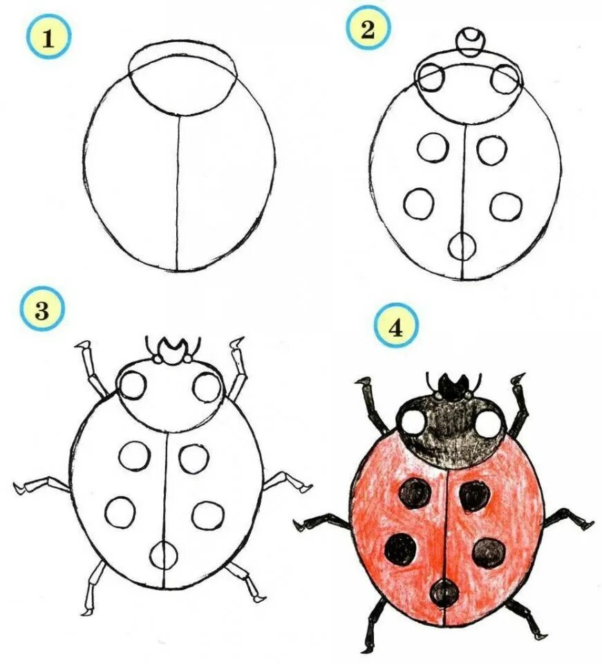 Писунок. Рисование для детей. Схемы для рисования для детей 5-6 лет. Божья коровка рисунок. Схемы рисования для детей 7 лет.